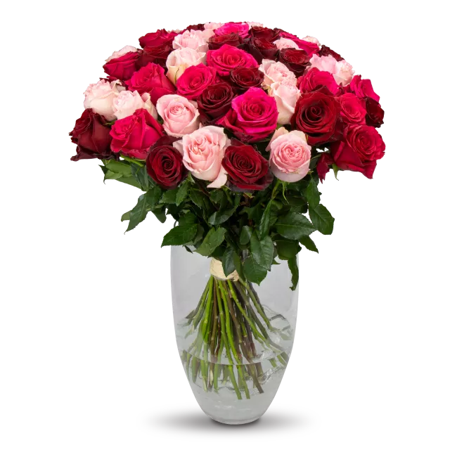 kytice ekvádorských růží 80 cm